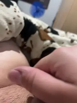 brunonovinho18 online show from 21, 4, 2026