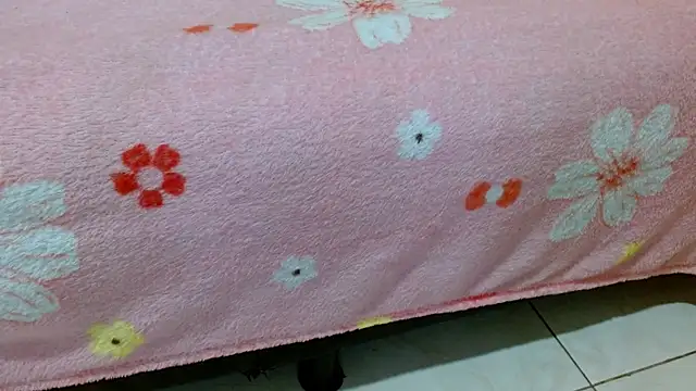  online show from 28, 3, 2026