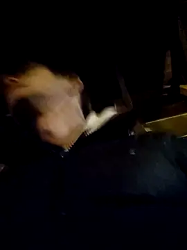 Snapshot of DlaNiej chatting on 26, 2, 2026 DlaNiej online show from 26, 2, 2026