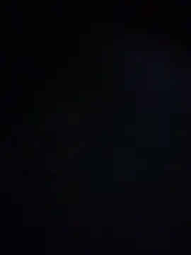 King cotize online show from 24, 2, 2026