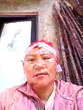 July7711 online show from 2, 3, 2026