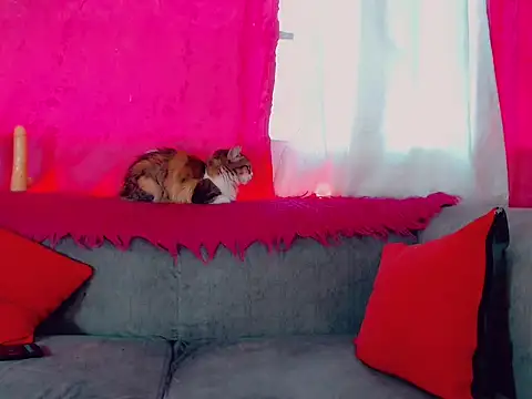 DeboraGill online show from 10, 3, 2026