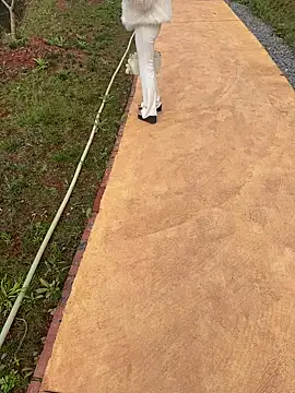 zhuendong000001 online show from 13, 3, 2026