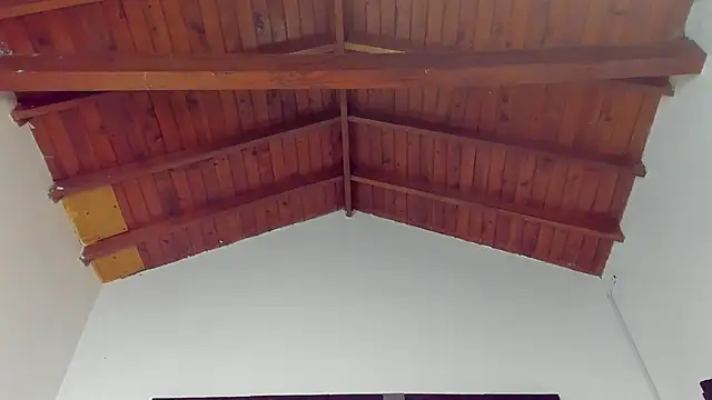 TonyPetrovjs online show from 26, 3, 2026