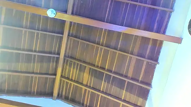 TonyPetrovjs online show from 26, 2, 2026