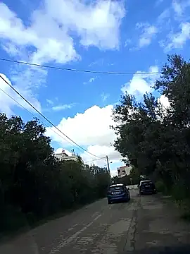 truble78 online show from 5, 4, 2026