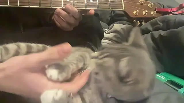 Marz1981zraM online show from 6, 3, 2026