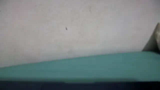 Snapshot of Neila_SexyGirl chatting on 21, 5, 2026 Neila SexyGirl online show from 21, 5, 2026