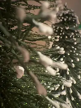 sexysou online show from 2, 4, 2026