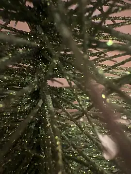 sexysou online show from 15, 4, 2026