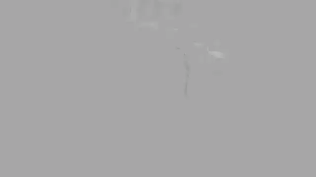 bbluchito online show from 6, 3, 2026