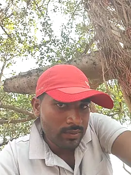 Fantasy King 3939 online show from 4, 4, 2026