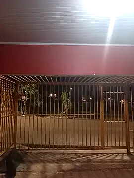 magrinh026 online show from 8, 3, 2026