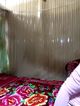 Big-all012 online show from 13, 3, 2026