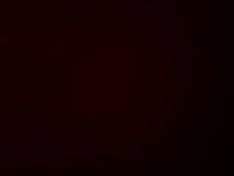 stud2512 online show from 8, 3, 2026