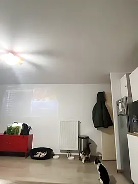 eruzam59000 online show from 7, 3, 2026