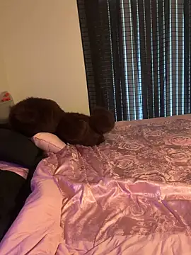 wavywavy12 online show from 19, 4, 2026