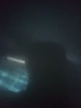 StaidTutorial online show from 7, 3, 2026