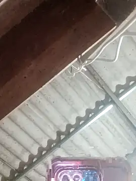 Lin-miuu online show from 22, 2, 2026