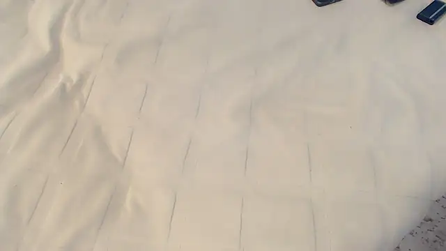 Ass Lovss online show from 14, 7, 2026