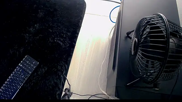 Sebastian -D online show from 20, 3, 2026