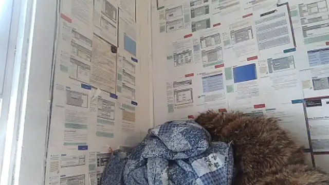 BunnyYT online show from 7, 3, 2026