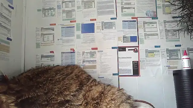 BunnyYT online show from 8, 3, 2026