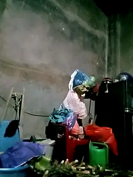 elen8800 online show from 24, 2, 2026