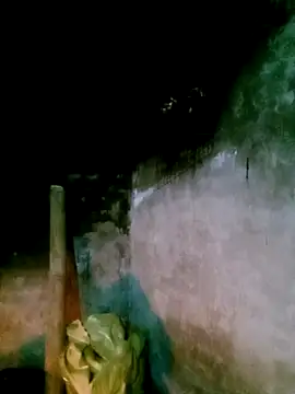 elen8800 online show from 28, 2, 2026