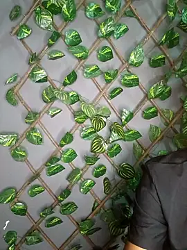 Breezehun online show from 3, 3, 2026