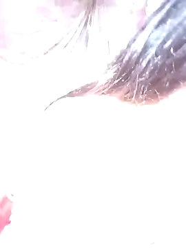 Meo-catwet online show from 22, 4, 2026
