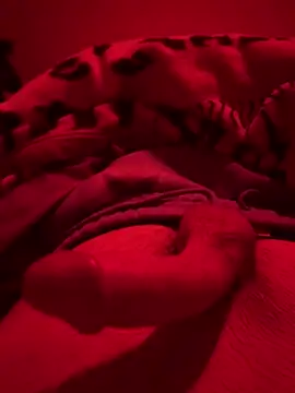 689Nika online show from 8, 3, 2026