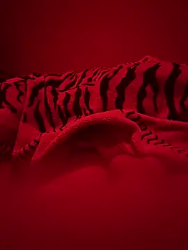 689Nika online show from 13, 3, 2026