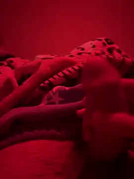 689Nika online show from 20, 4, 2026