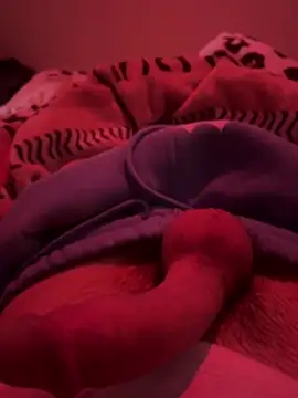 689Nika online show from 13, 3, 2026