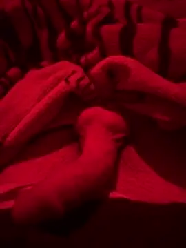 689Nika online show from 25, 3, 2026