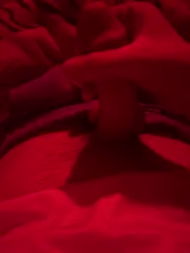 689Nika online show from 12, 3, 2026