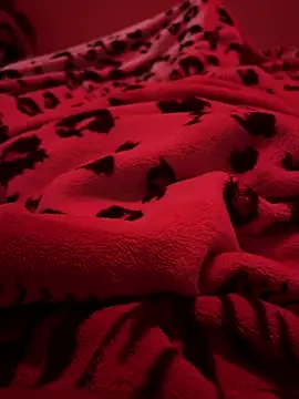 689Nika online show from 19, 3, 2026