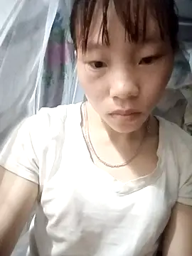 pic8800 online show from 6, 5, 2026