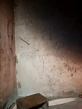 pic8800 online show from 19, 4, 2026