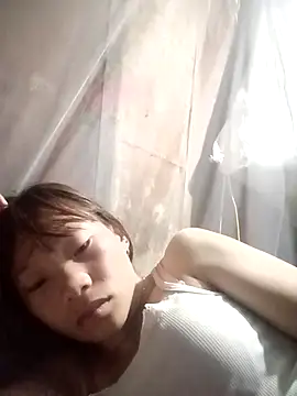 pic8800 online show from 31, 3, 2026