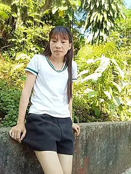 pic8800 online show from 26, 5, 2026