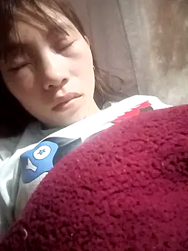 pic8800 online show from 28, 3, 2026