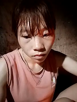 pic8800 online show from 3, 4, 2026