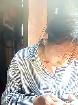 pic8800 online show from 26, 3, 2026