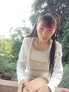pic8800 online show from 26, 5, 2026