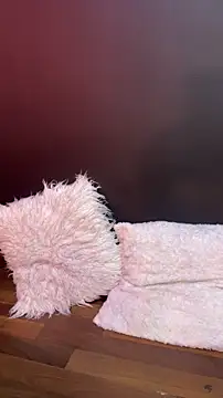   CELESTE   online show from 10, 3, 2026