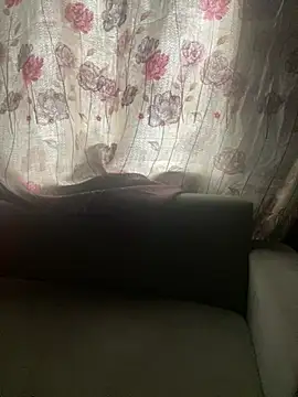 qczband online show from 16, 4, 2026