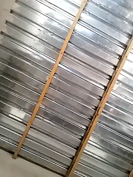 treynba online show from 5, 3, 2026