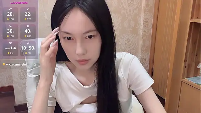 DD-5200 online show from 16, 4, 2026